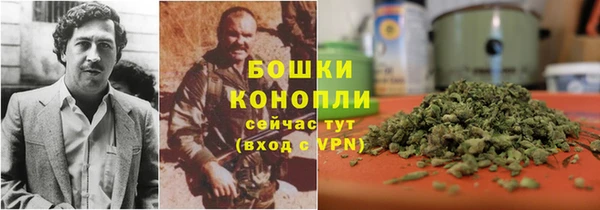 mdpv Ельня