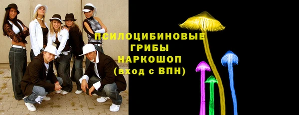 амф Елизово