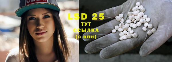 mdpv Ельня