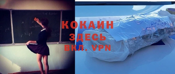 mdpv Ельня