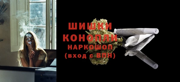 амф Елизово