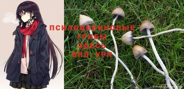 mdpv Ельня